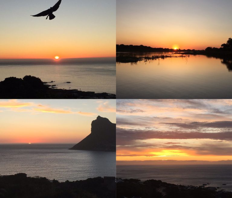 Highlights of 2015