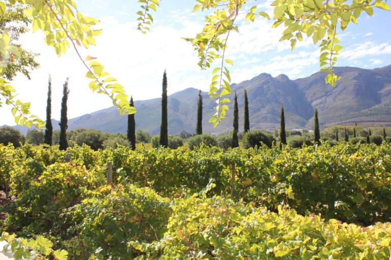A Grand Lunch At Grande Provence