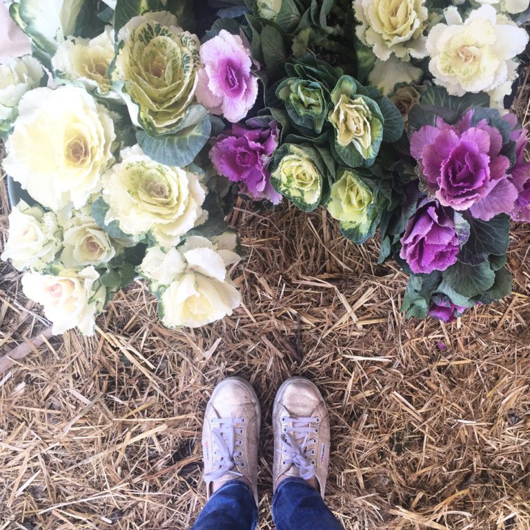 Fresh Flowers and Fruit at the Oranjezicht City Farm