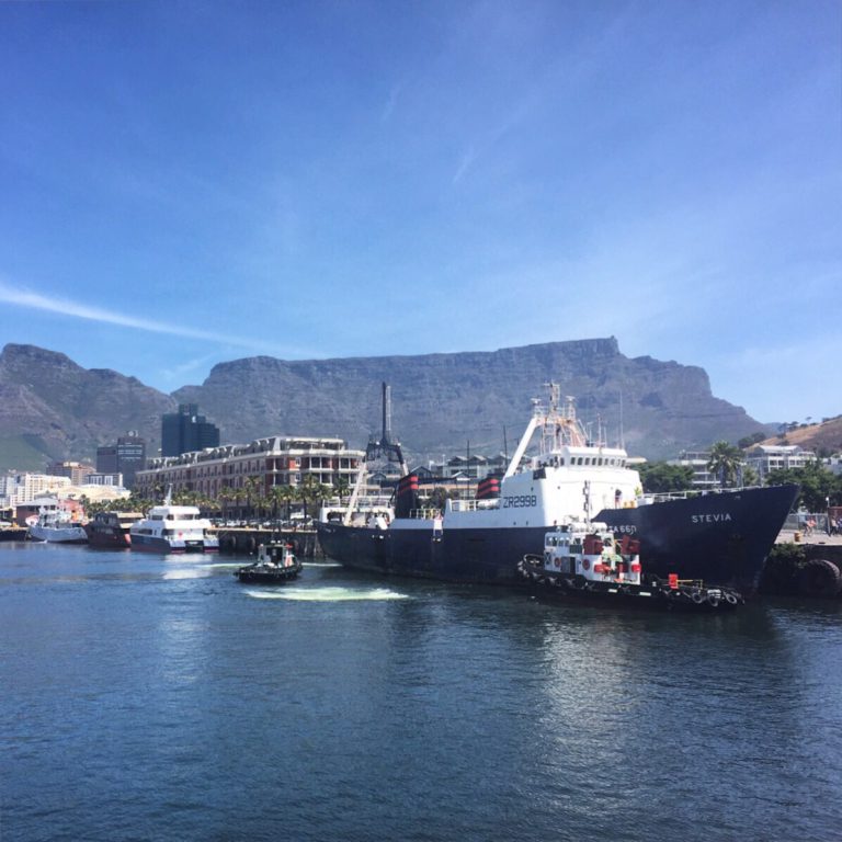 20 photos of beautiful South Africa