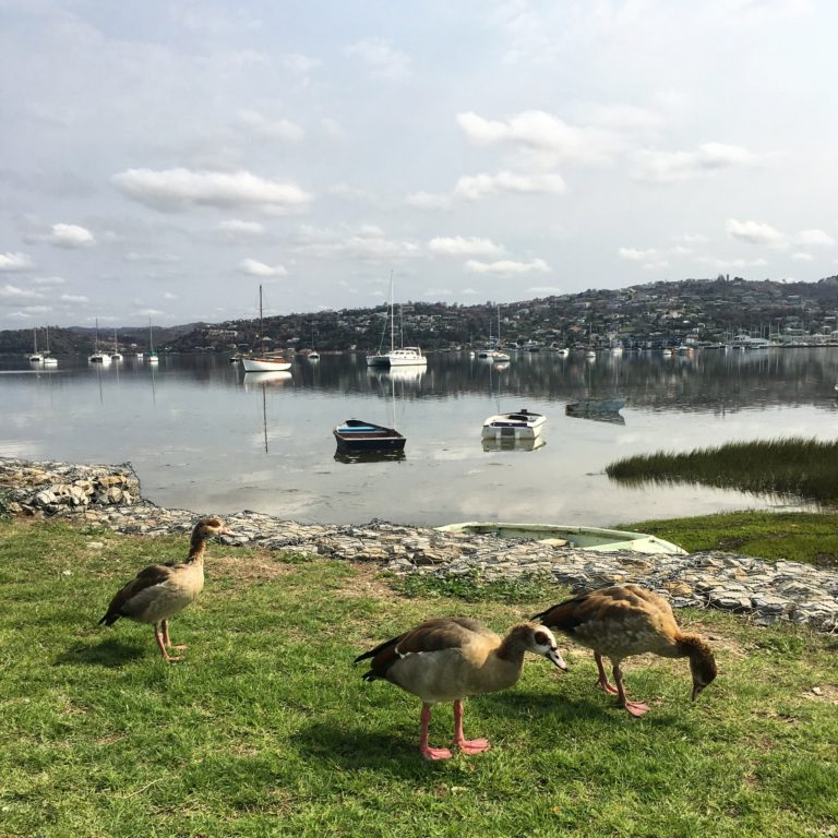 Its Always Nicer in Beautiful Knysna