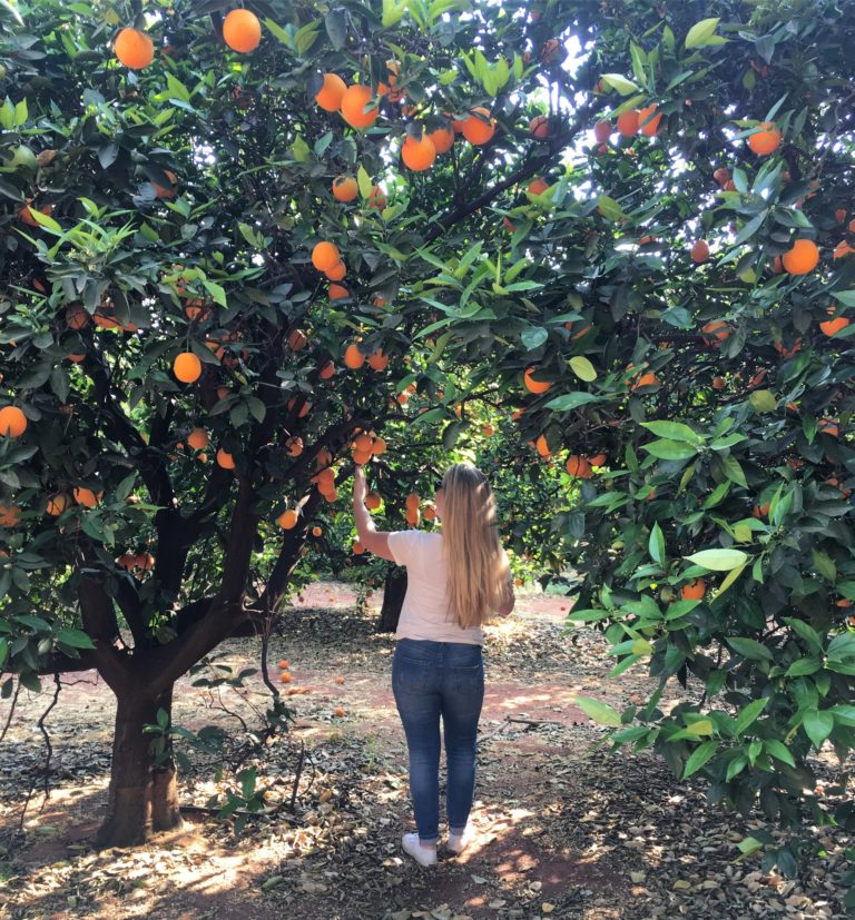 Things to do on a Sunday: Take a Drive to Almost Orange