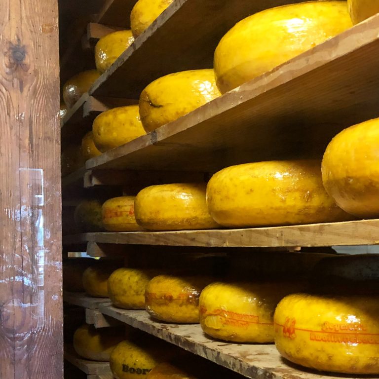 Things to do on a Sunday: Visit the Cheese Farm in Magaliesberg