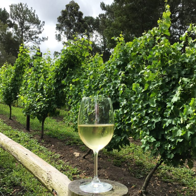 Wine Menu’s Chardonnay & Pinot Noir Festival 2018