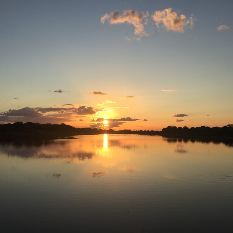 5 Reasons to visit the Kruger National Park