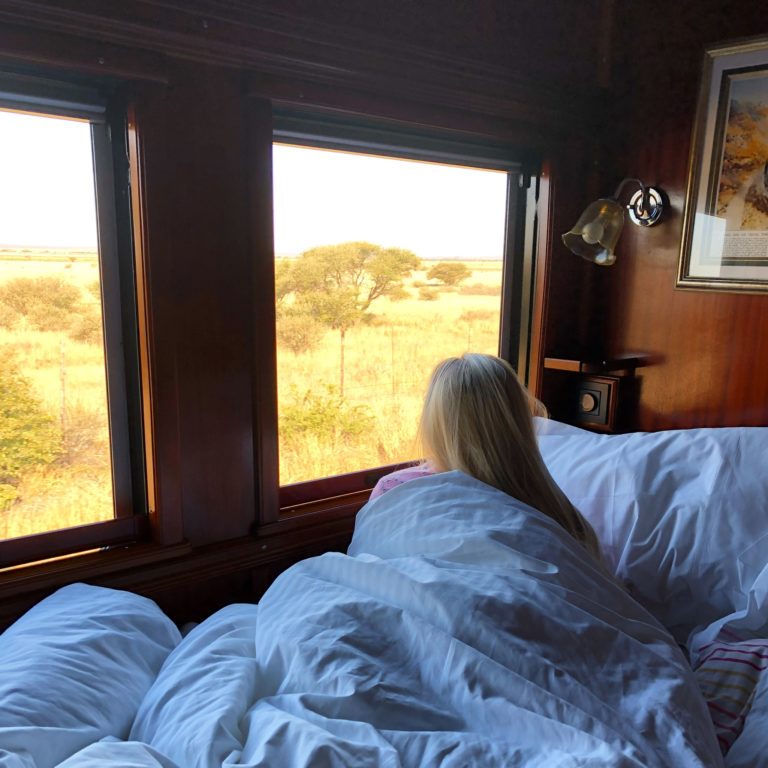 From Pretoria to Cape Town on Rovos Rail (Part II)