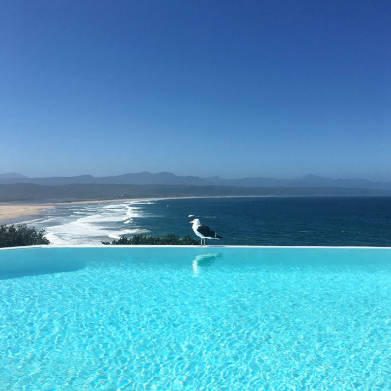 Minkys ultimate guide to Plettenberg Bay