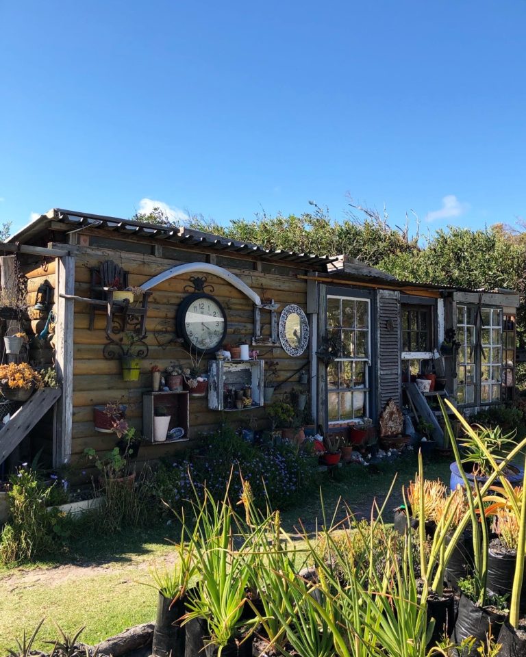 Tea and scones at the Scone Shack in Cape Town