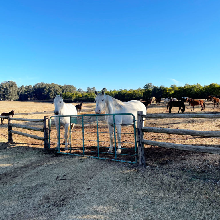 3 Reasons Why You Need to Stay at Hartford House Hotel in the Midlands