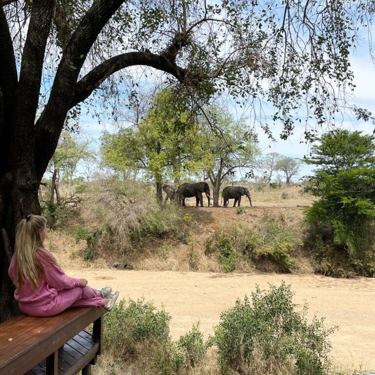 Imbali Safari Lodge: A Game Changer in the Kruger National Park