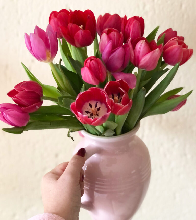 Last Minute Mother’s Day Gift Guide